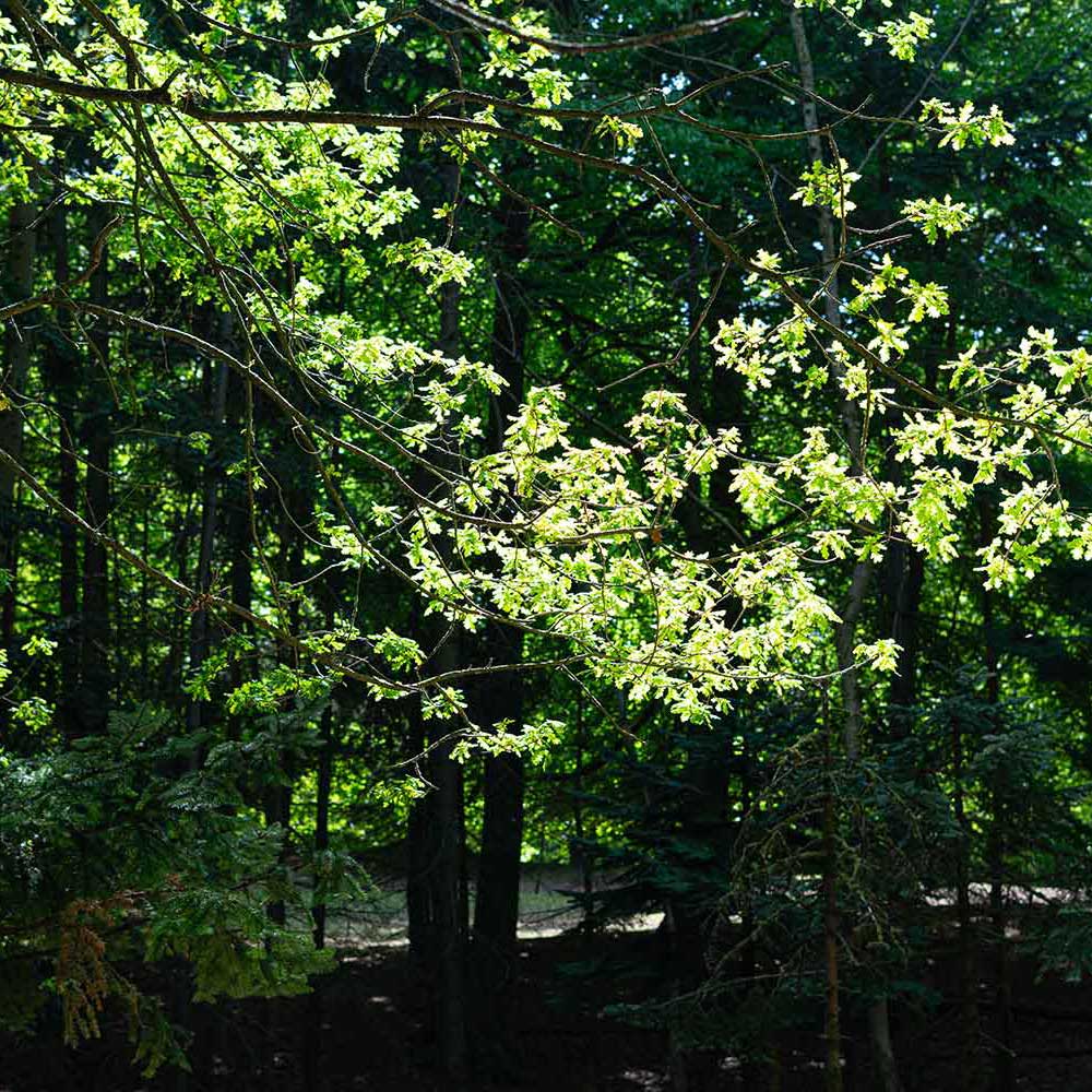 TAPGANG-baeredygtige-moebler